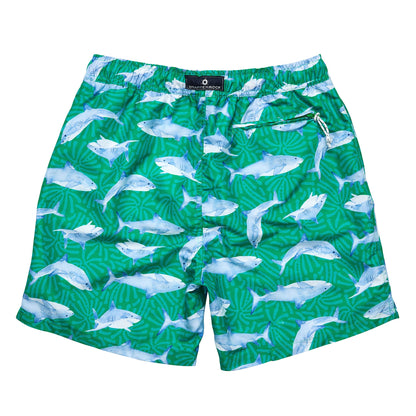 Mens Reef Shark Swim Short - Snapper Rock