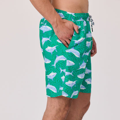 Mens Reef Shark Swim Short - Snapper Rock