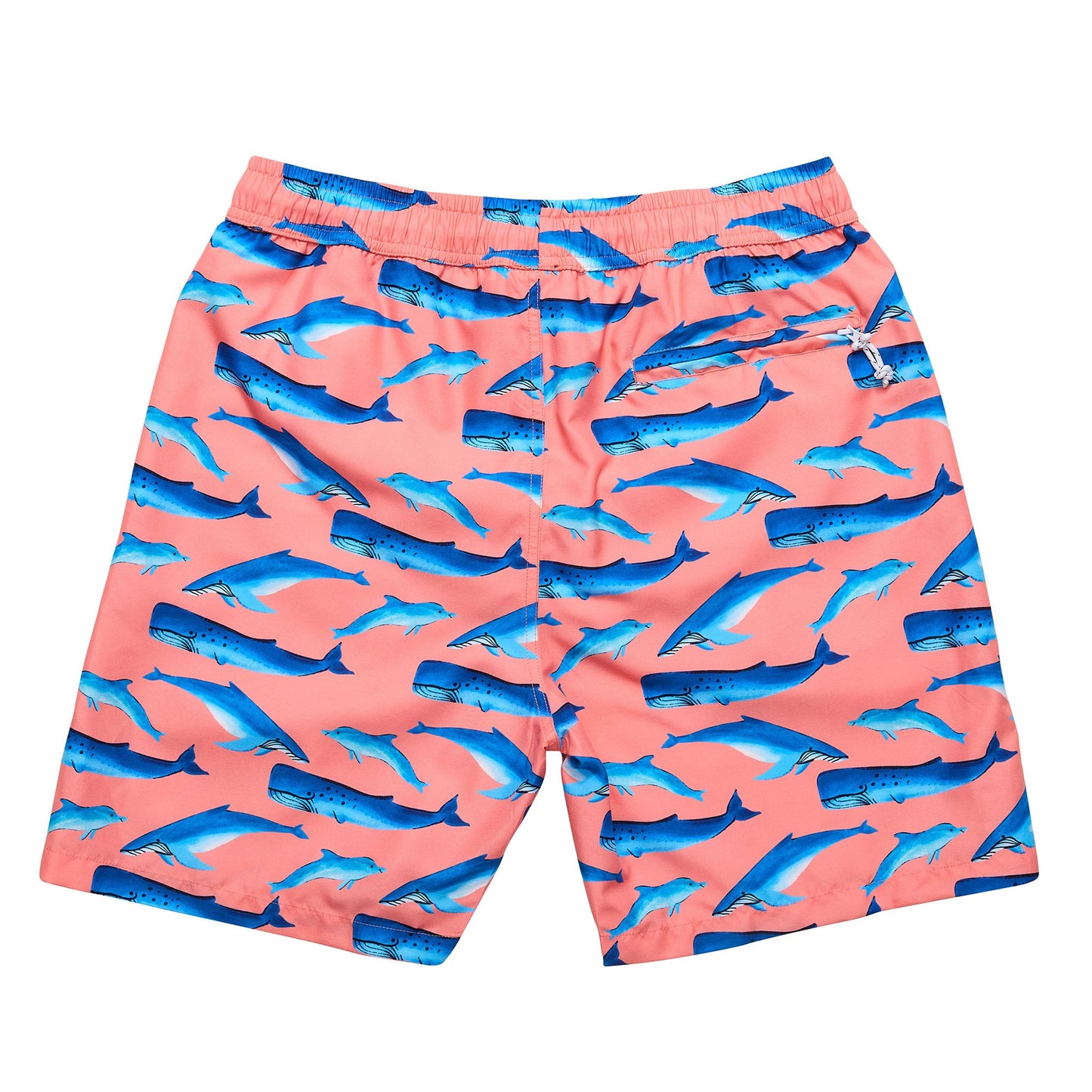 Mens Whale Tail Swim Short - Snapper Rock